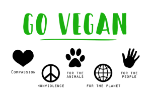 vegan en afvallen